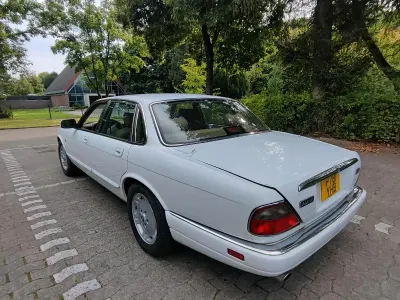 Occasion Jaguar X300 240 PK (176 kW) 1997 Wit Sedan