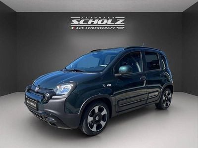 Neu Fiat Panda Cross Cross 65 PS (47 kW) 2026 Grün Kleinwagen