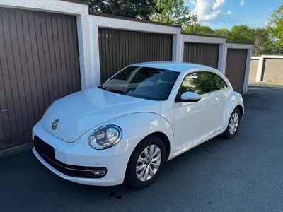 VW Beetle