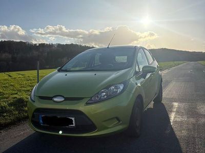 Gebraucht Ford Fiesta Ambiente 82 PS (60 kW) 2009 Grün Kleinwagen