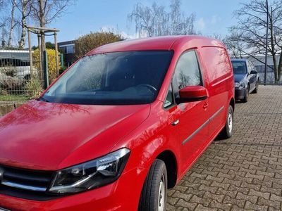 gebraucht VW Caddy Maxi Lang Cargo KASTEN Parkilot,Firmenwagen mwst ausweiß