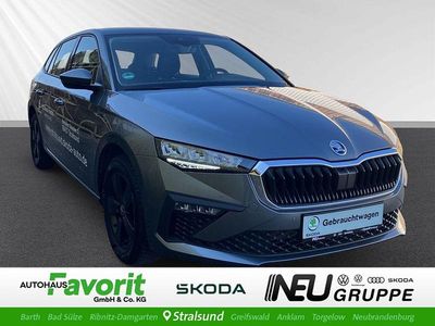 Gebraucht Skoda Scala Selection 116 PS (85 kW) 2026 Grau Kleinwagen