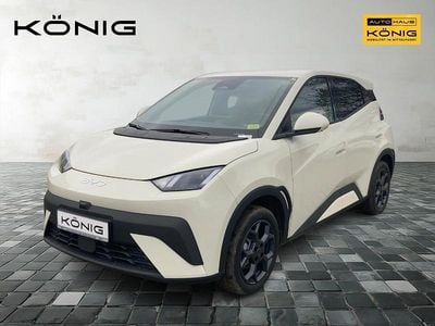 Gebraucht BYD Dolphin Surf Comfort 114 kW (156 PS) 2025 Weiß Kleinwagen