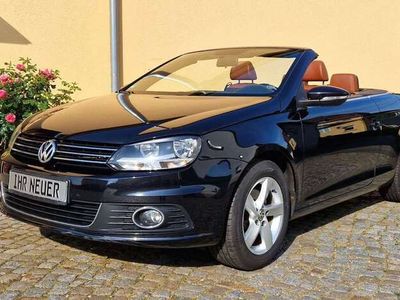 VW Eos