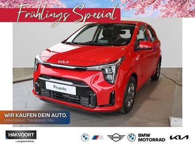 Neu Kia Picanto Vision 68 PS (50 kW) 2026 Rot Kleinwagen