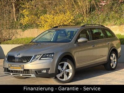Gebraucht Skoda Octavia Scout 4x4 150 PS (110 kW) 2017 Beige Kombi