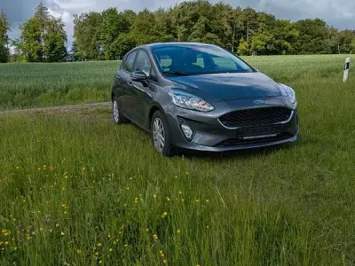 Gebraucht Ford Fiesta 101 PS (74 kW) 2019 Grau Kleinwagen