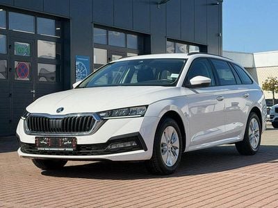 Usata Skoda Octavia Ambition 116 CV (85 kW) 2023 Bianco Station wagon