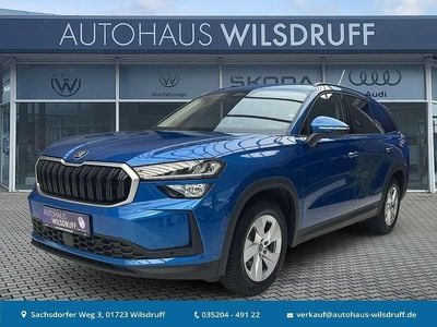 Gebraucht Skoda Kodiaq Selection 150 PS (110 kW) 2025 Blau SUV