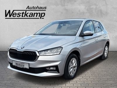 gebraucht Skoda Fabia Style 1.0 TSI Ganzj.Reifen Led Kamera Navi