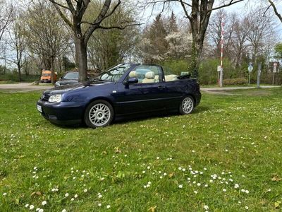 gebraucht VW Golf Cabriolet 2.0 Colour Concept Colour Concept