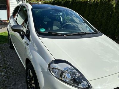 gebraucht Fiat Punto 1.4 8V Start&Stopp YOUNG