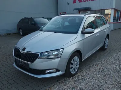Gebraucht Skoda Fabia Cool Plus 75 PS (55 kW) 2019 Silber Kleinwagen