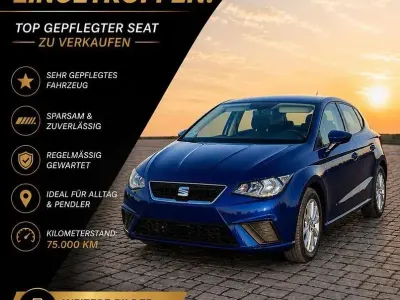 Brugt Seat Ibiza Style 95 HK (69 kW) 2019 Blå Hatchback