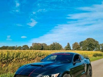 gebraucht Ford Mustang GT 5.0 V8 mit Shelby Optik! Benzin/LPG