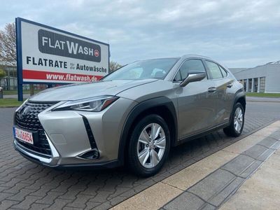 Lexus UX 250h