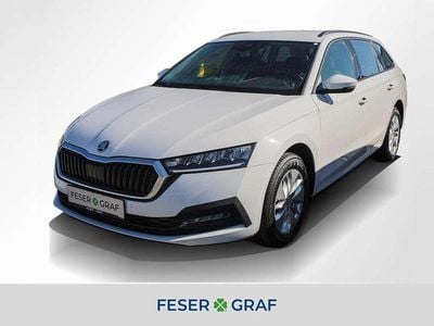 Gebraucht Skoda Octavia Ambition 150 PS (110 kW) 2023 Candy weiss Kombi