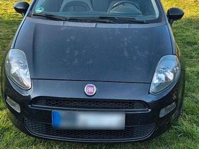Gebraucht Fiat Punto 69 PS (50 kW) 2013 Schwarz Kleinwagen