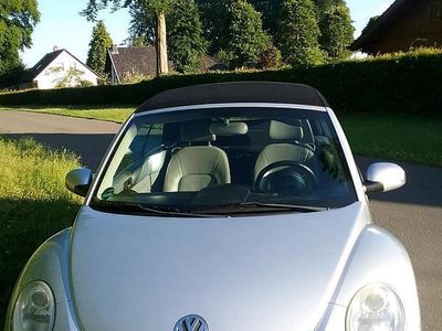 VW Beetle