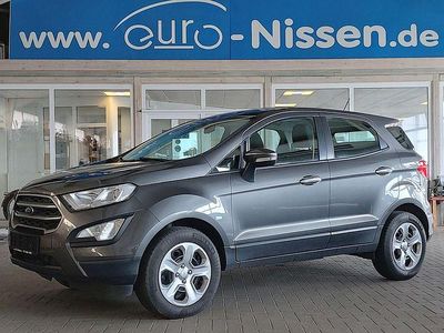 Usata Ford Ecosport Trend 125 CV (91 kW) 2018 Grigio SUV