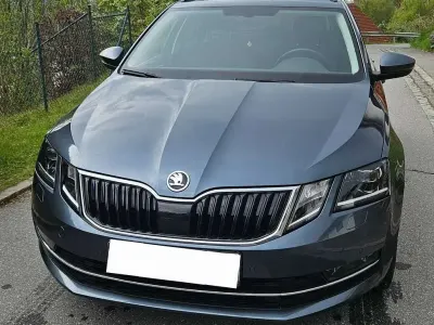 Gebraucht Skoda Octavia Style 190 PS (139 kW) 2019 Grau Kombi