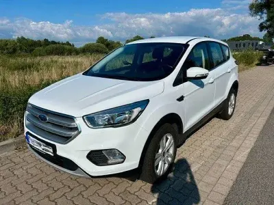 Gebraucht Ford Kuga Trend 150 PS (110 kW) 2017 Weiß SUV