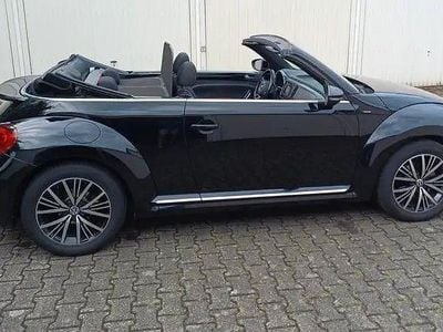 VW Beetle
