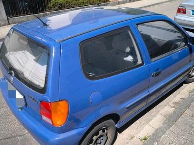VW Polo