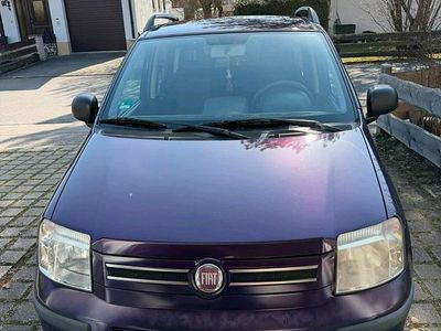 Gebraucht Fiat Panda Dynamic 69 PS (50 kW) 2011 Violet Kleinwagen