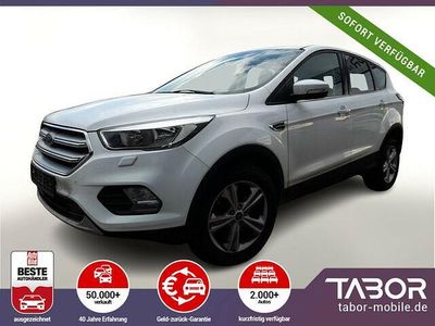 Usata Ford Kuga Trend 120 CV (88 kW) 2018 Bianco SUV