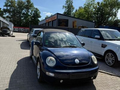VW Beetle