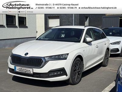 Usata Skoda Octavia Clever 150 CV (110 kW) 2023 Bianco Station wagon