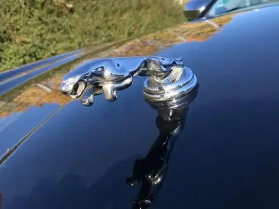 Gebraucht Jaguar XJ8