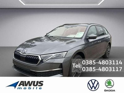 Grau Gebraucht 2025 Skoda Octavia Tour Kombi | 37.990 € (Teuer)