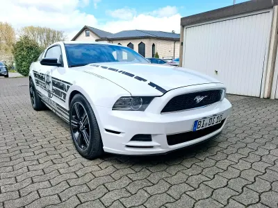Occasion Ford Mustang 309 ch (227 kW) 2013 Blanc Coupé