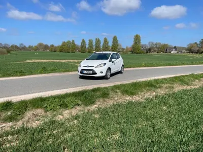 Usata Ford Fiesta Trend 82 CV (60 kW) 2009 Bianco Utilitaria