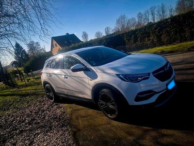 Gebraucht Opel Grandland X 120 PS (88 kW) 2017 Weiß SUV
