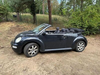 VW Beetle