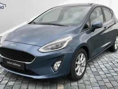Usado Ford Fiesta Cool & Connect 101 CV (74 kW) 2019 Azul Utilitario