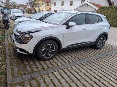 Gebraucht Kia Sportage Vision 160 PS (117 kW) 2024 Weiß SUV