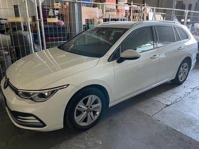 Gebraucht VW Golf VIII 150 PS (110 kW) 2023 Kombi