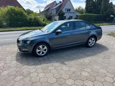 Gebraucht Skoda Octavia Style 116 PS (85 kW) 2019 Grau Limousine