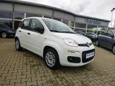 Usata Fiat Panda Easy 69 CV (50 kW) 2020 Bianco Utilitaria