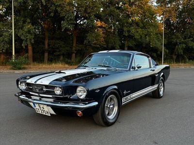 gebraucht Ford Mustang Fastback GT350 347 Stroker