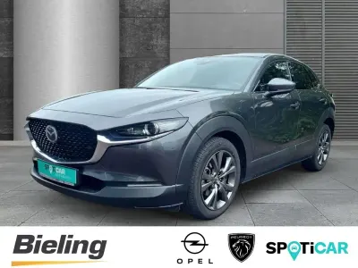 Gebraucht Mazda CX-30 Selection 179 PS (131 kW) 2020 Grau SUV