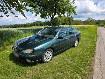 Gebraucht Nissan Primera