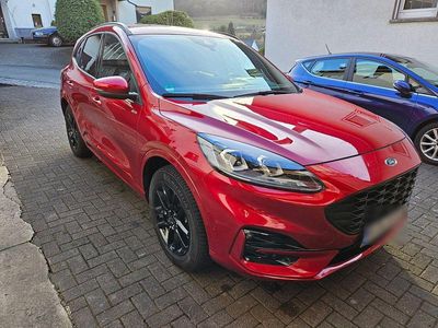 Gebraucht Ford Kuga ST-Line X 224 PS (164 kW) 2021 Rot SUV