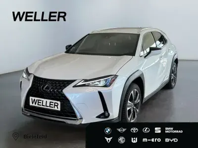 Gebraucht Lexus UX 250h