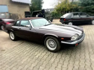 Käytetty Jaguar XJS 220 HP (161 kW) 1986 Ruskea Avoauto