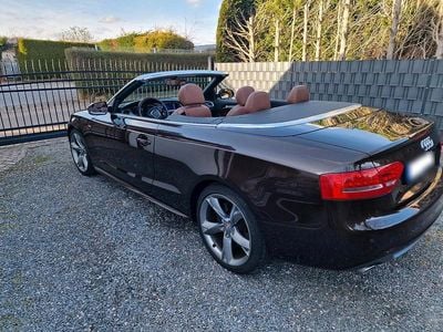 Gebraucht Audi A5 Cabriolet S-Line 239 PS (175 kW) 2010 Braun Cabrio